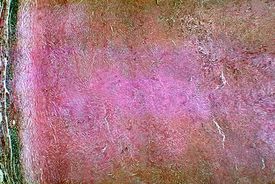 image_111502