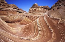 image_111629