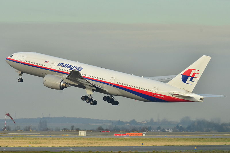 Malaysia_airlines_flight.jpg