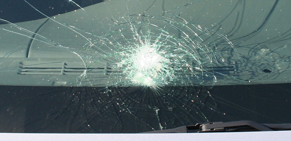 windshield.jpg