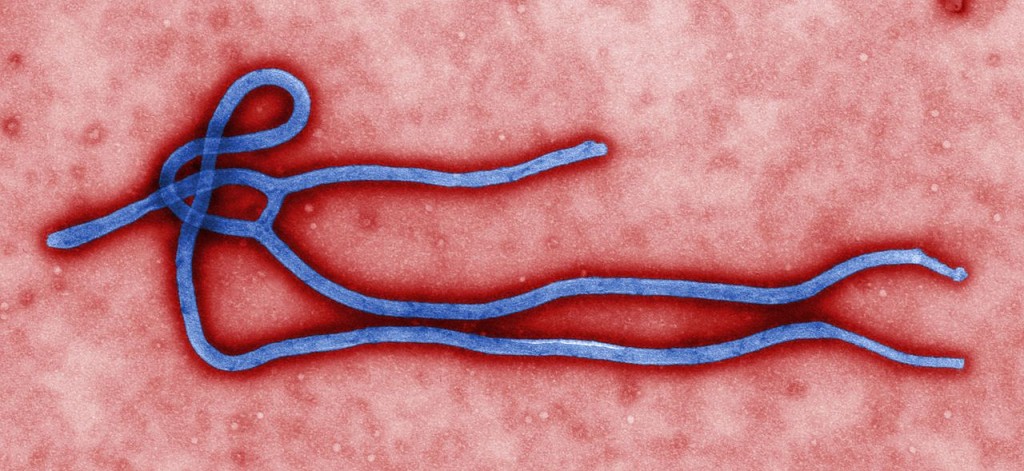 Ebola.jpg