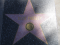 Elvis_Star.jpg