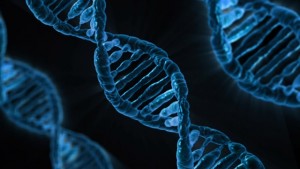 dna-163466_640-300x169.jpg