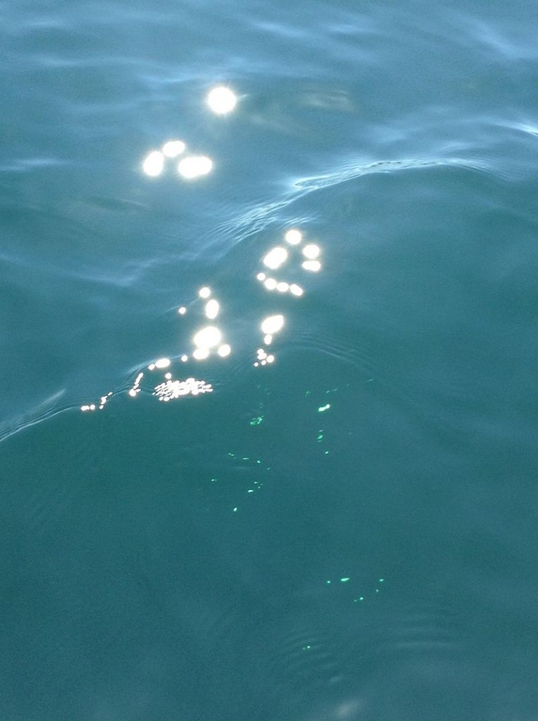 water.jpg