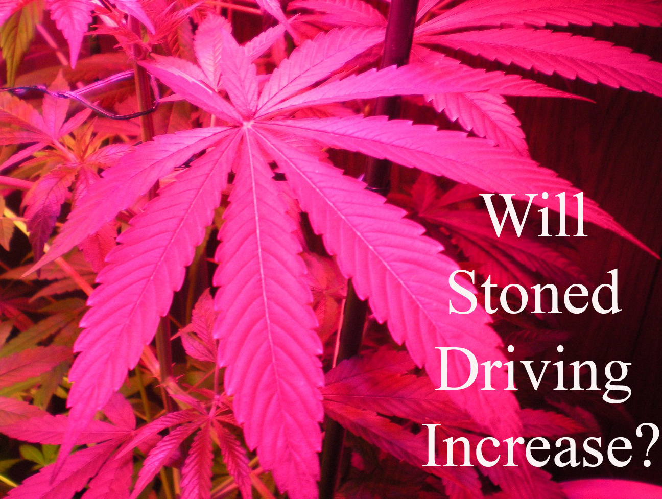 Rn to bsn on line colleges donate a automobile in the big apple